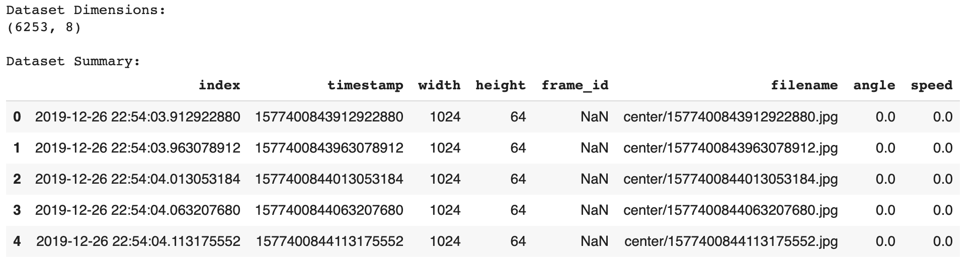 RC Car Ouster Lidar Training Dataset Pandas Dataframe